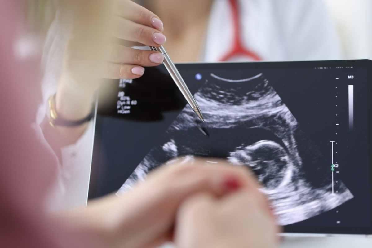 Üçlü Tarama Testi Yüksekliği Ne Anlama Gelir